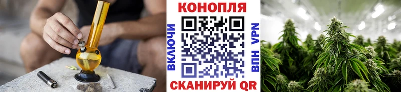 наркошоп Королёв Бошки марихуана конопля
